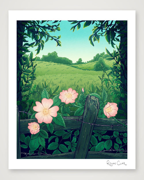 Wild Rose — 20×25cm, 8×10" Print only
