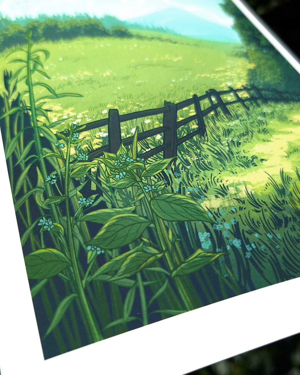 Field Path