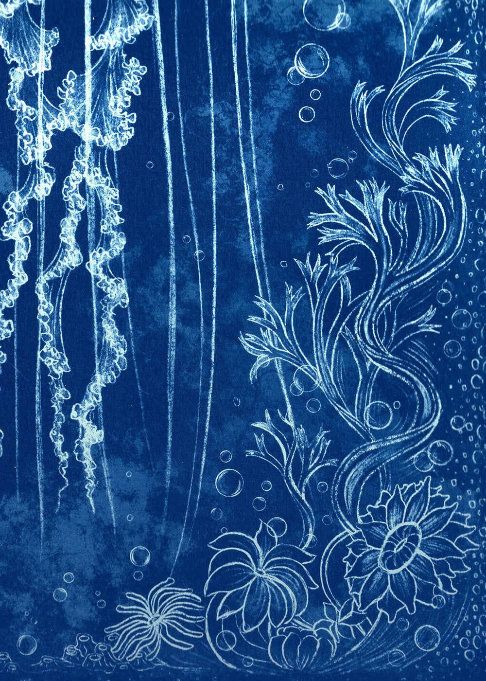 Purple-Striped Jellyfish - Handmade Cyanotype Print