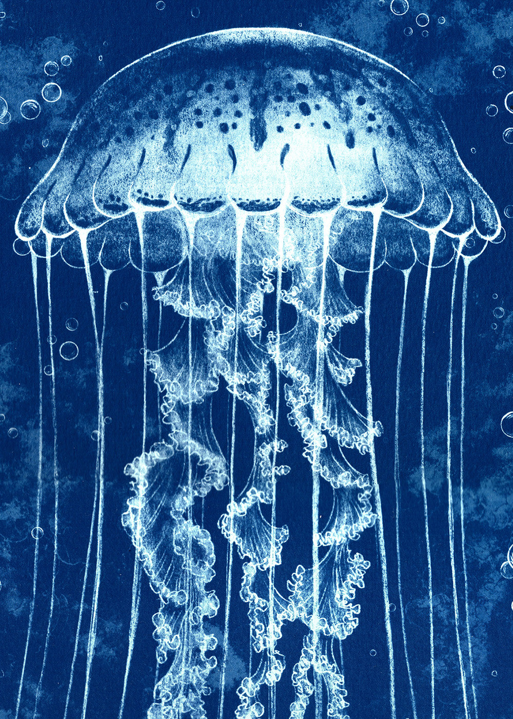 Purple-Striped Jellyfish - Handmade Cyanotype Print