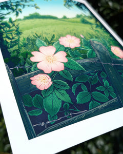 Wild Rose