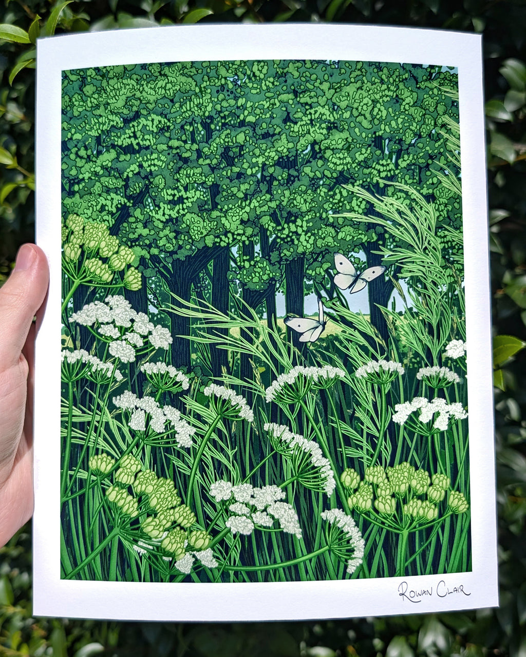 Woodland Edge