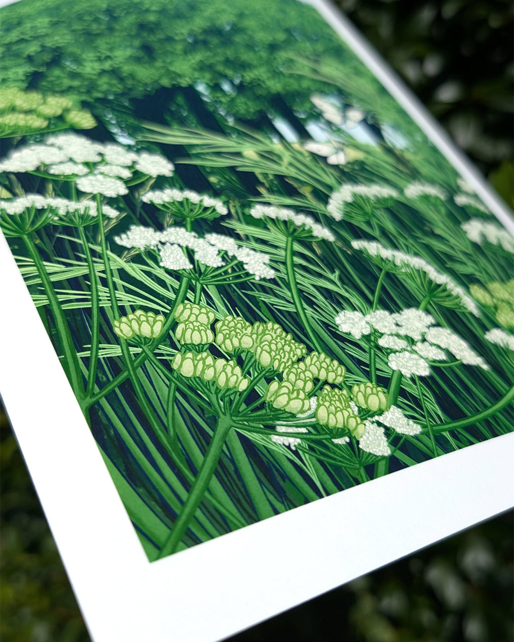Woodland Edge