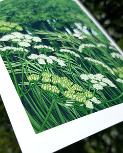 Woodland Edge